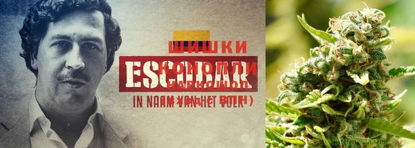 кокаин колумбия Беломорск
