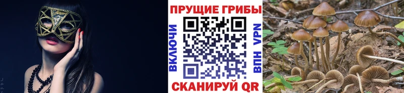 omg онион  Павловская  Псилоцибиновые грибы мухоморы 